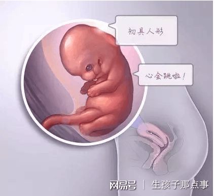 着床前診断 PGT
